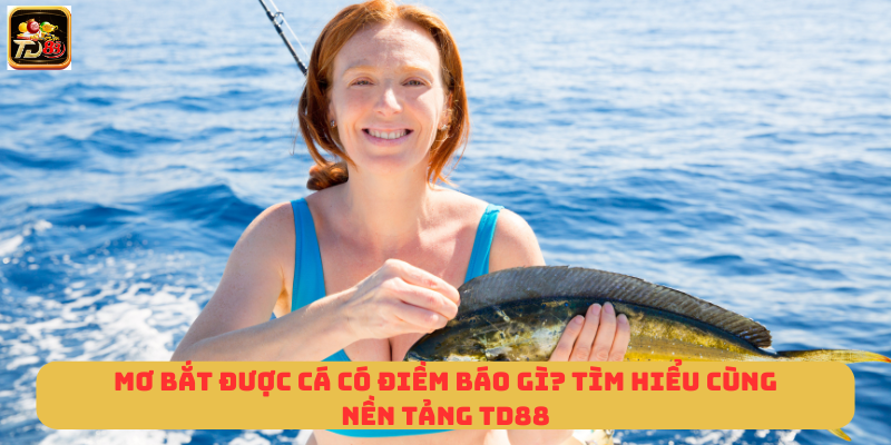 Mơ Bắt Được Cá Có Điềm Báo Gì? Tìm Hiểu Cùng Nền Tảng TD88